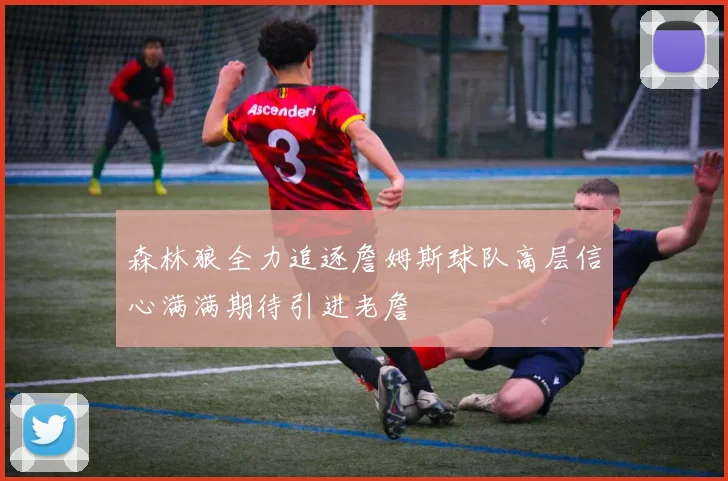 森林狼全力追逐詹姆斯球队高层信心满满期待引进老詹