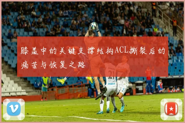 膝盖中的关键支撑结构ACL撕裂后的痛苦与恢复之路